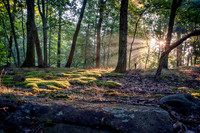 High Mountain (12)