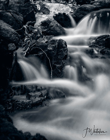 High Mountain (10)