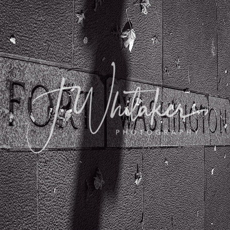 WashingtonHeights2021 (12)