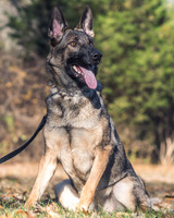 Grown Up Kona