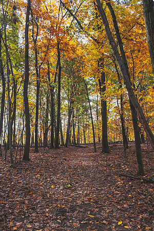 DSCF8553-Edit