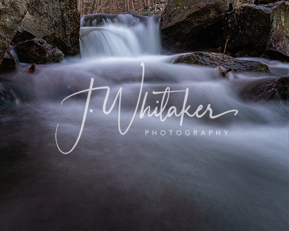 DSC_3335-Edit
