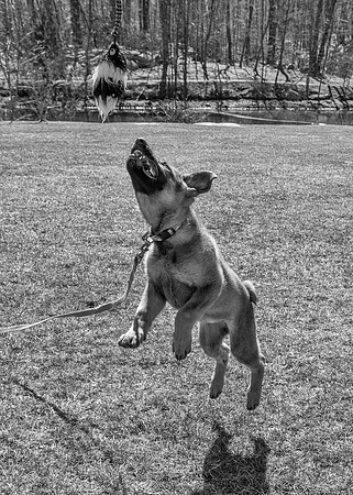 DS601970-Edit