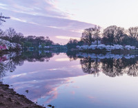 BranchBrook (7)