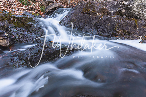 DSC_0479-Edit