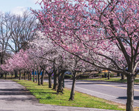 DSC_4543-Edit