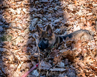 DS602143-Edit-Edit