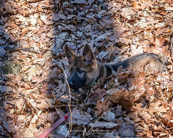 DS602143-Edit-Edit
