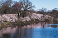 DSC_4502-Edit