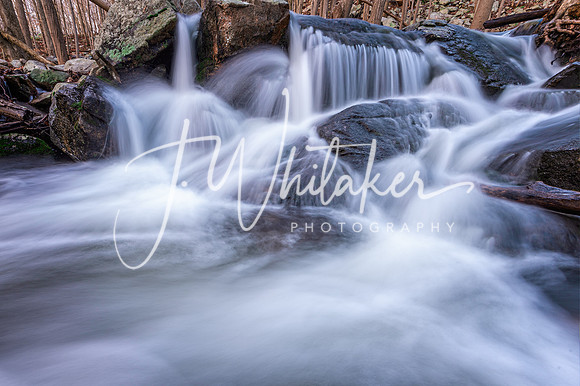 DSC_3322-Edit