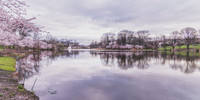 DSC_2535-Edit