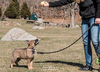 DS601827-Edit-Edit
