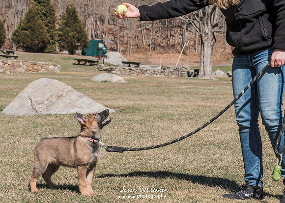 DS601827-Edit-Edit