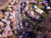 DJI_0016-Edit