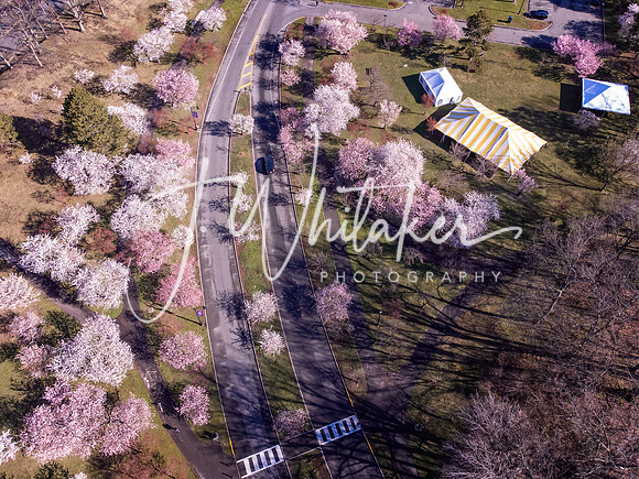 DJI_0016-Edit