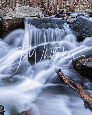 DSC_3306-Edit