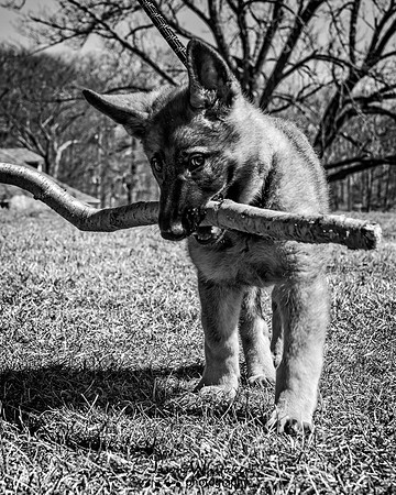 DS601865-Edit-Edit