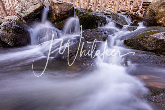 DSC_3329-Edit