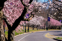 DSC_4535-Edit