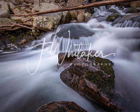DSC_3326-Edit