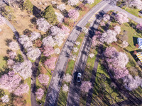 DJI_0018-Edit