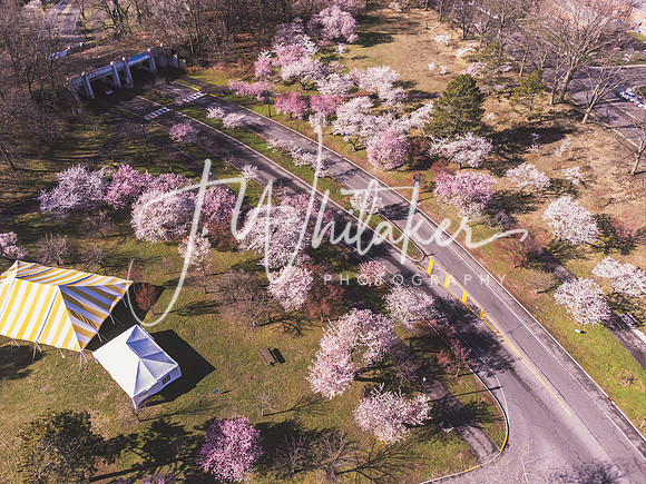 DJI_0009-Edit