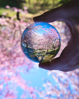 DSC_2580-Edit
